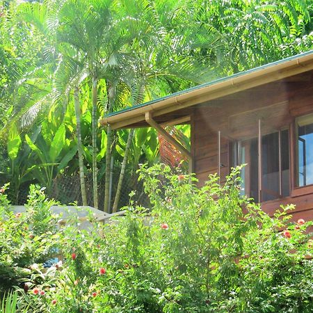 Castara Retreats Apartment Ruang foto
